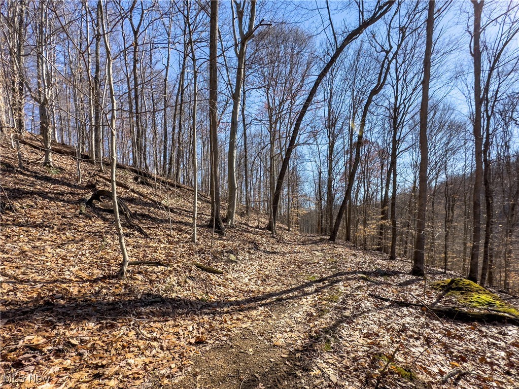 47562 Pratts Run Road Clarington, OH 43915 - Photo 35 of 49 View of local wilderness