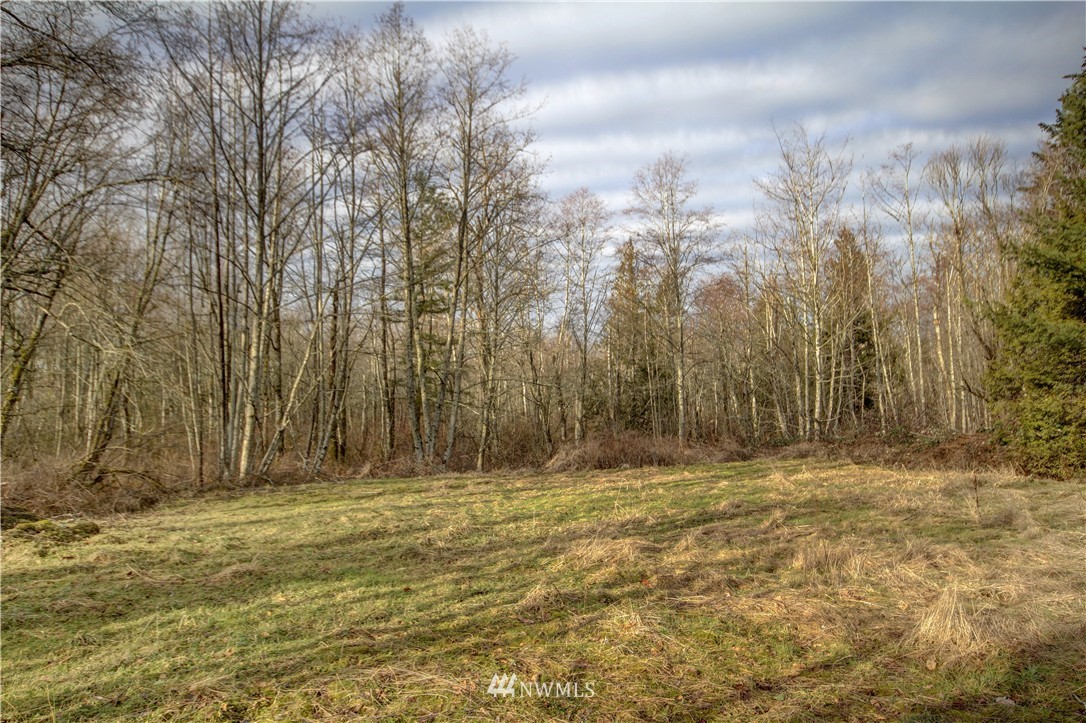 6205 Mission Road Everson, WA 98247 - Photo 11 of 13