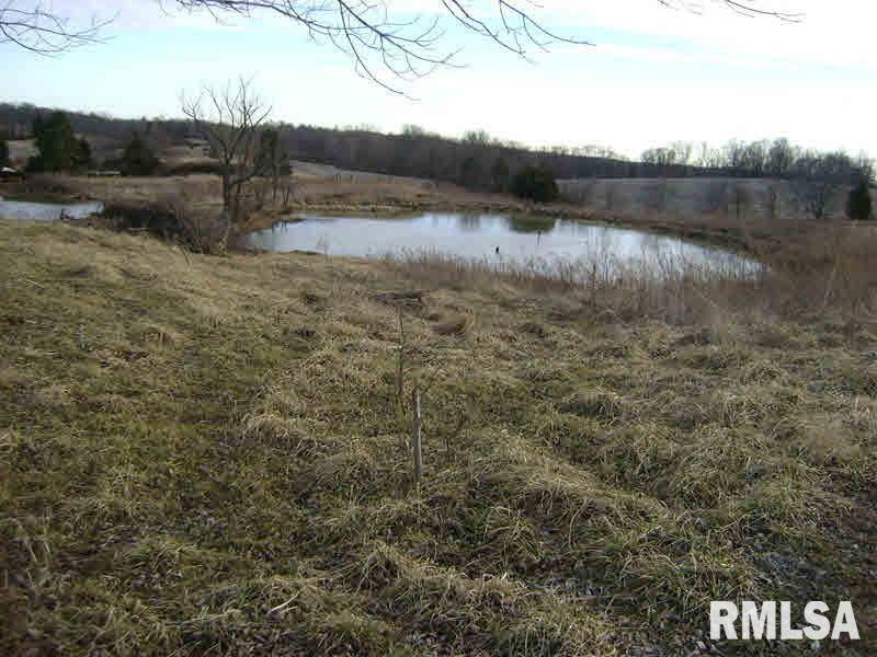 840 Kimmel Cemetery Road Anna, IL 62906 - Photo 8 of 47 Gallery Image 8
