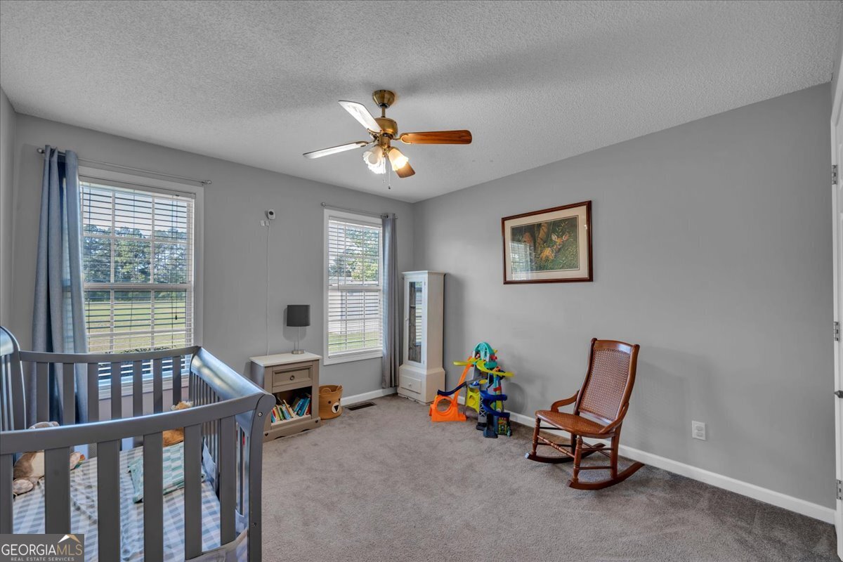 2576 Highway 29 Rockledge, GA 30454 - Photo 18 of 30