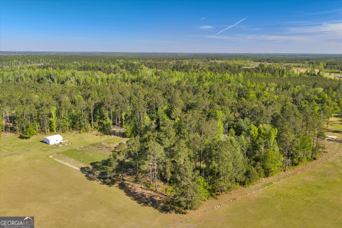 2576 Highway 29 Rockledge, GA 30454 - Photo 28 of 30