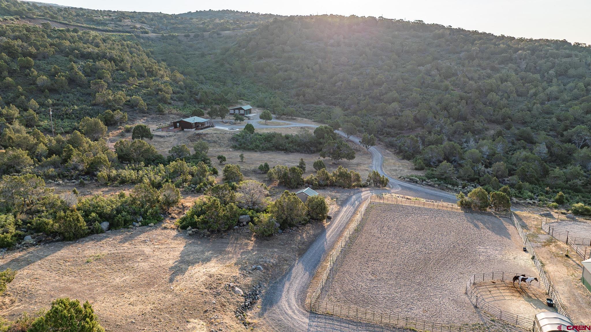 21578 Highway 65 Cedaredge, CO 81413 - Photo 21 of 45 a view of a yard with mountain