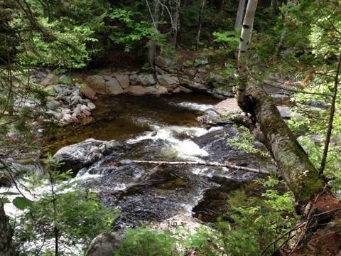 28 Stoney Brook Road Stratton, ME 04982 - Photo 19 of 20 Directly behind this home is a...