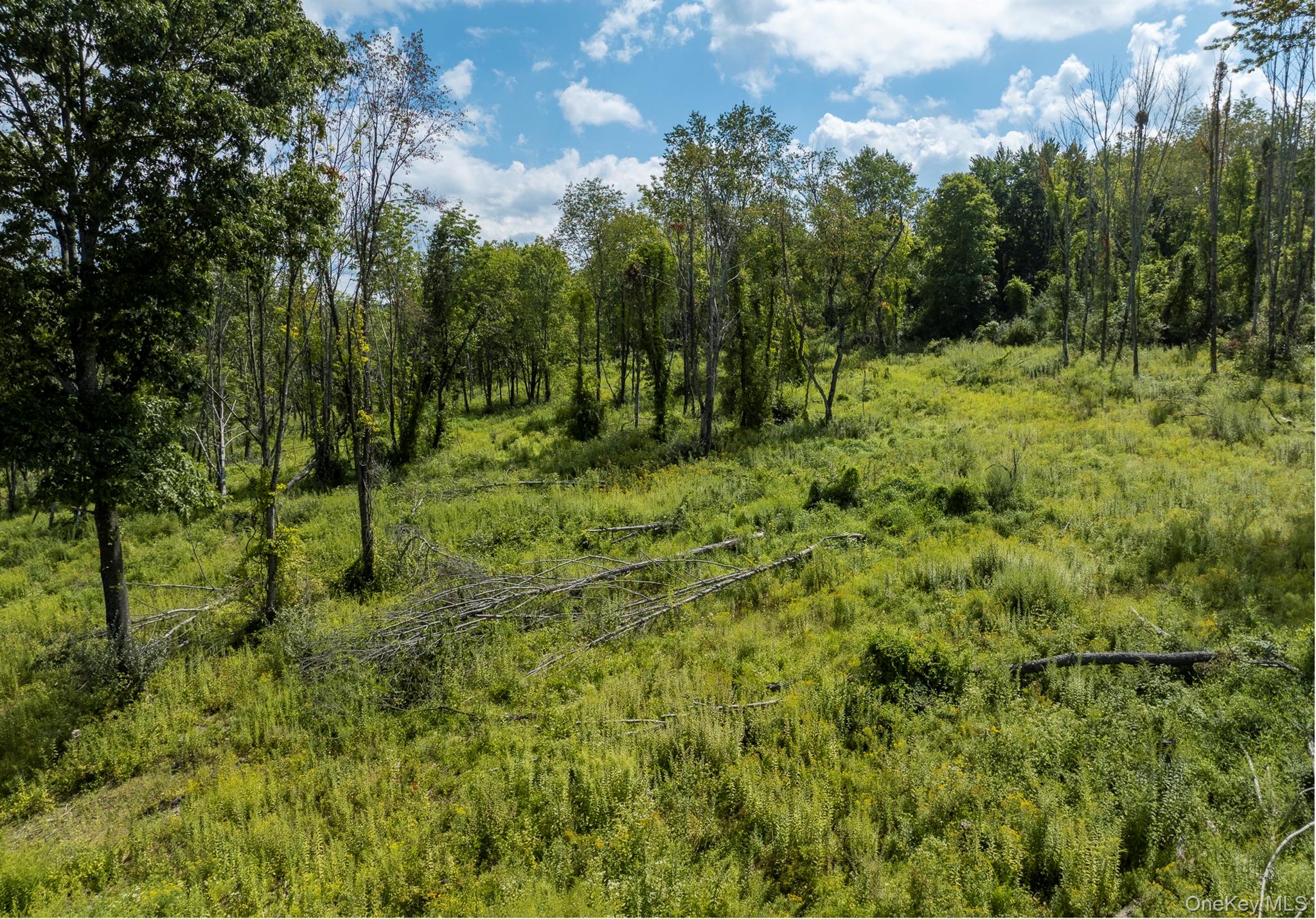 Camby Road Millbrook, NY 12545 - Photo 16 of 30 Gallery Image 16
