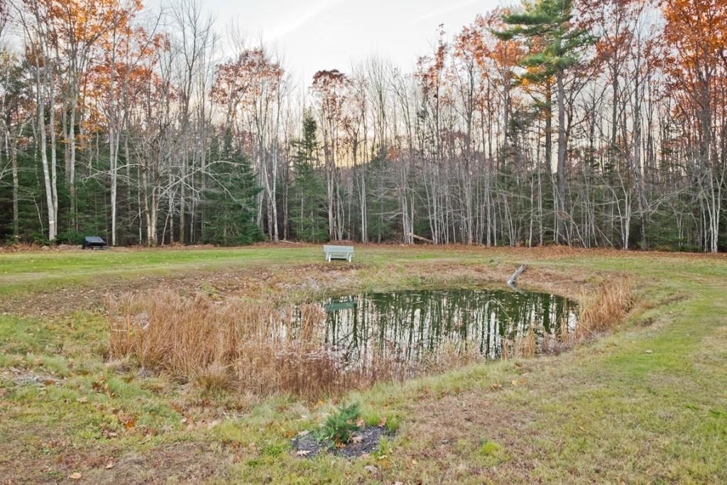 176 Hight Road Biddeford, ME 04005 - Photo 34 of 35 Pond in the back yard for frogging,...