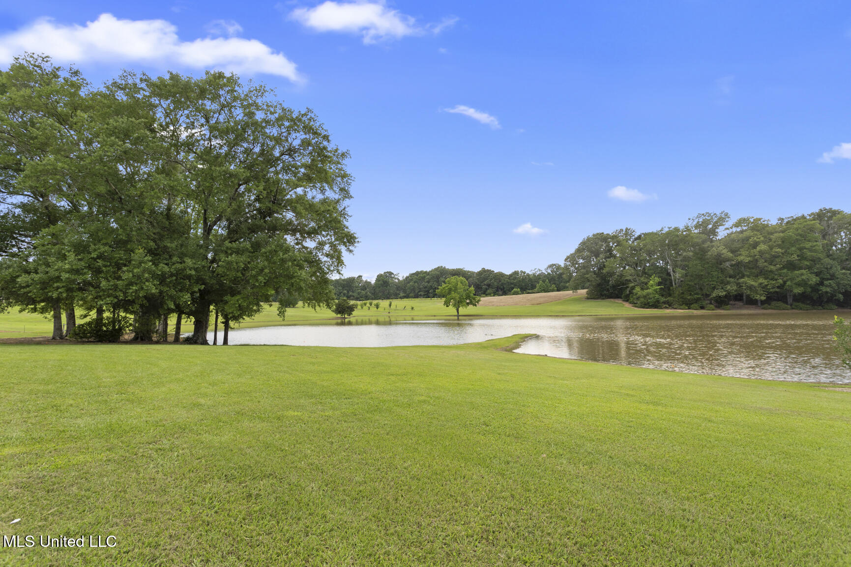 1600 Wright Road Raymond, MS 39154 - Photo 48 of 70 1600 Wright Rd-51
