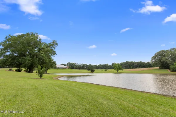 $750,000 | 1600 Wright Road, Raymond, MS 39154