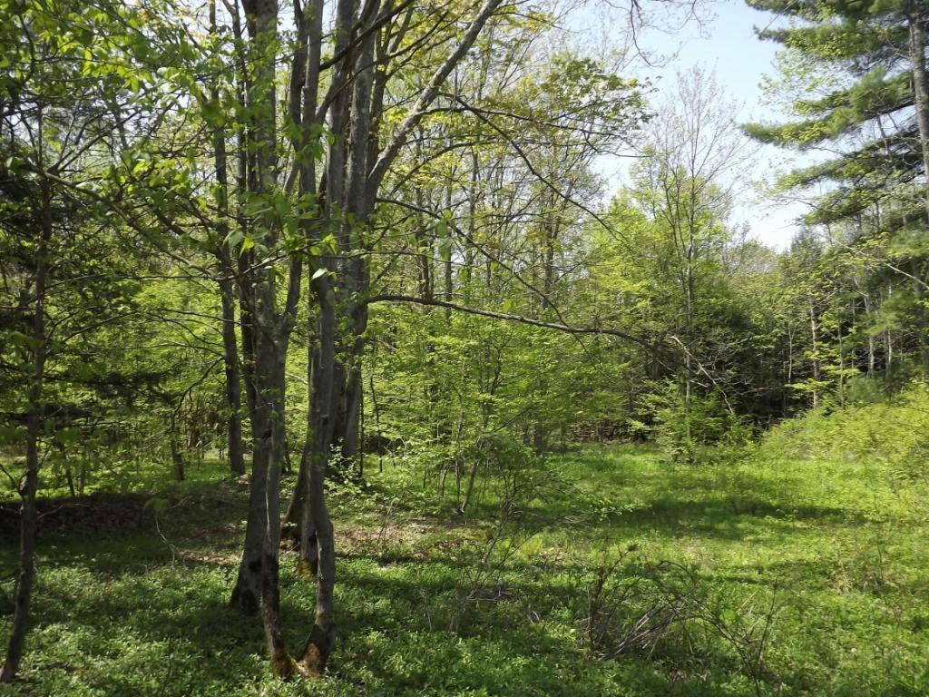 58 Judd Road Windsor, NY 13865 - Photo 1 of 7