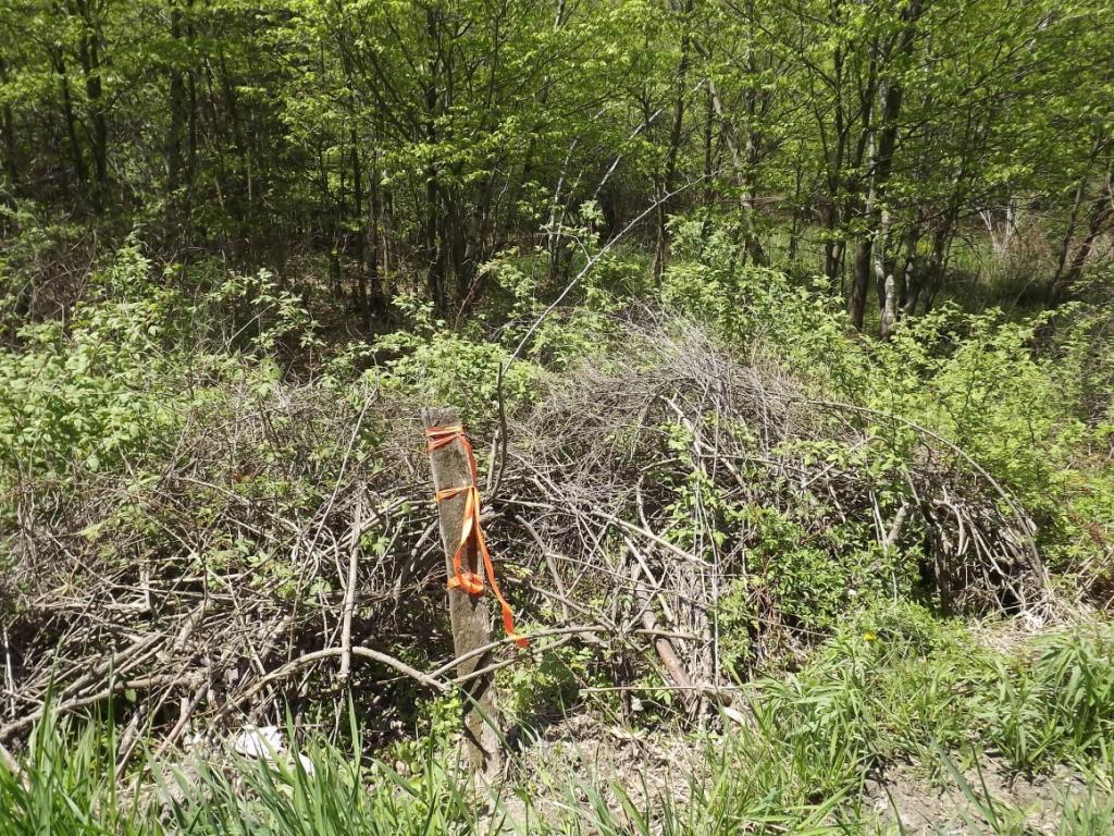 58 Judd Road Windsor, NY 13865 - Photo 3 of 7