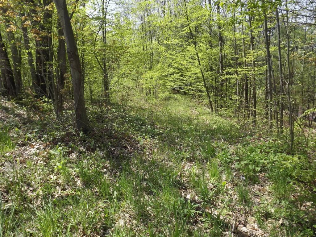 58 Judd Road Windsor, NY 13865 - Photo 4 of 7