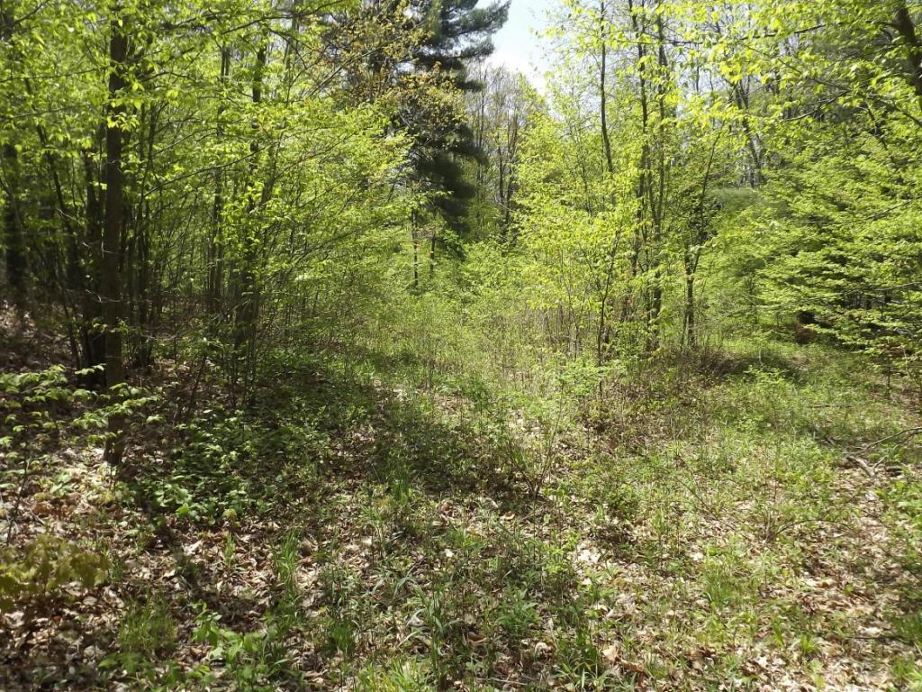58 Judd Road Windsor, NY 13865 - Photo 5 of 7