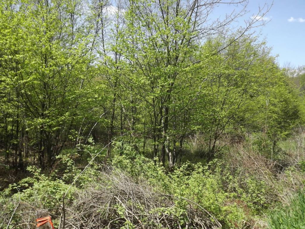 58 Judd Road Windsor, NY 13865 - Photo 6 of 7