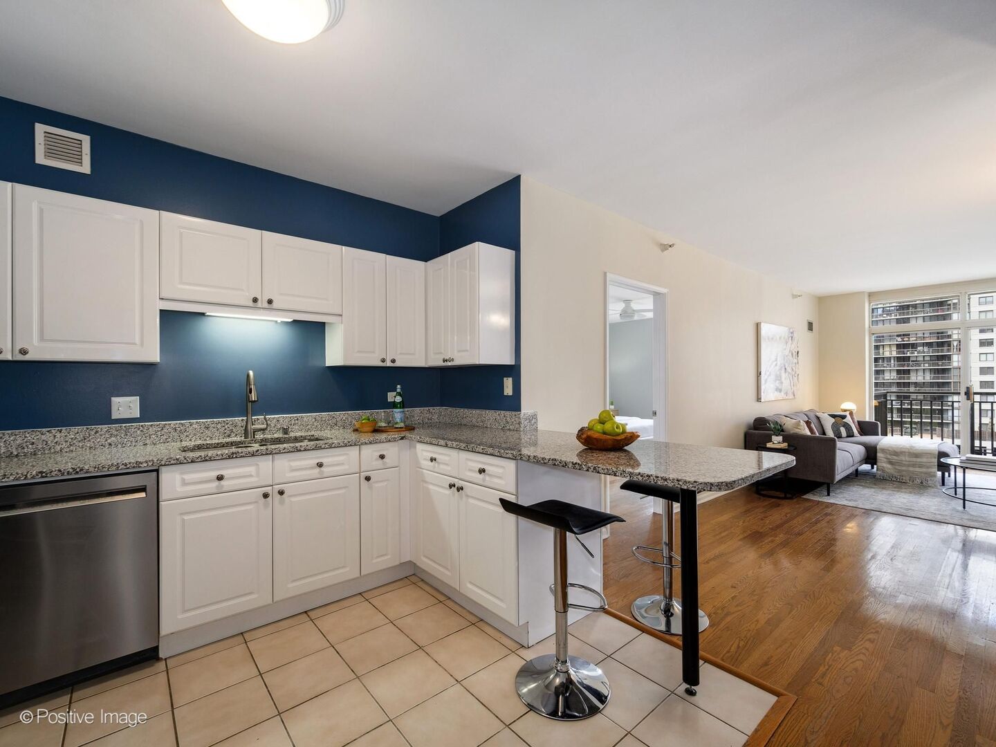 21 West Chestnut Street, Unit 901 Chicago, IL 60610 - Photo 5 of 29 a kitchen with stainless steel appliances granite countertop a stove a sink and cabinets