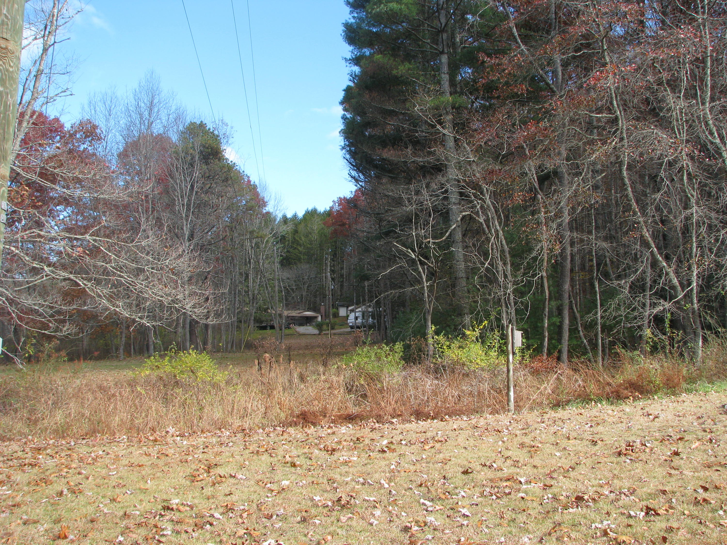 749 Pyles Road Hillsboro, WV 24946 - Photo 5 of 23 Gallery Image 5