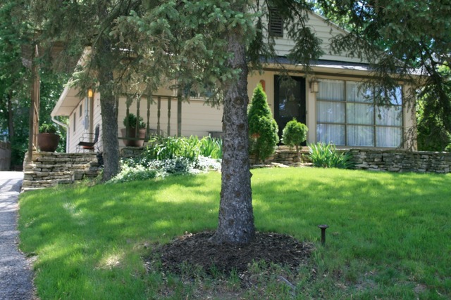 a view of a back yard of the house
