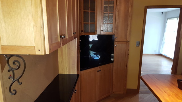 829 North Bennett Street Geneva, IL 60134 - Photo 5 of 20