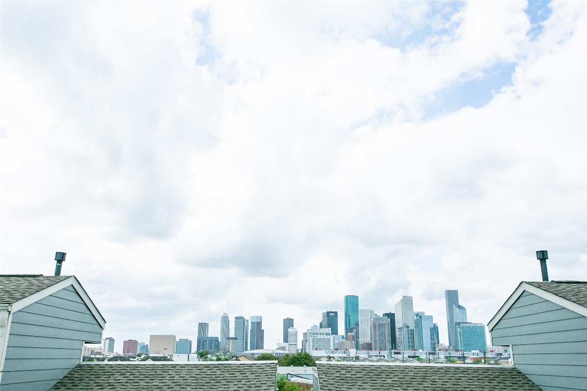 1310 Roberts Street Houston, TX 77003 - Photo 26 of 30 a view of a city with tall buildings in the background