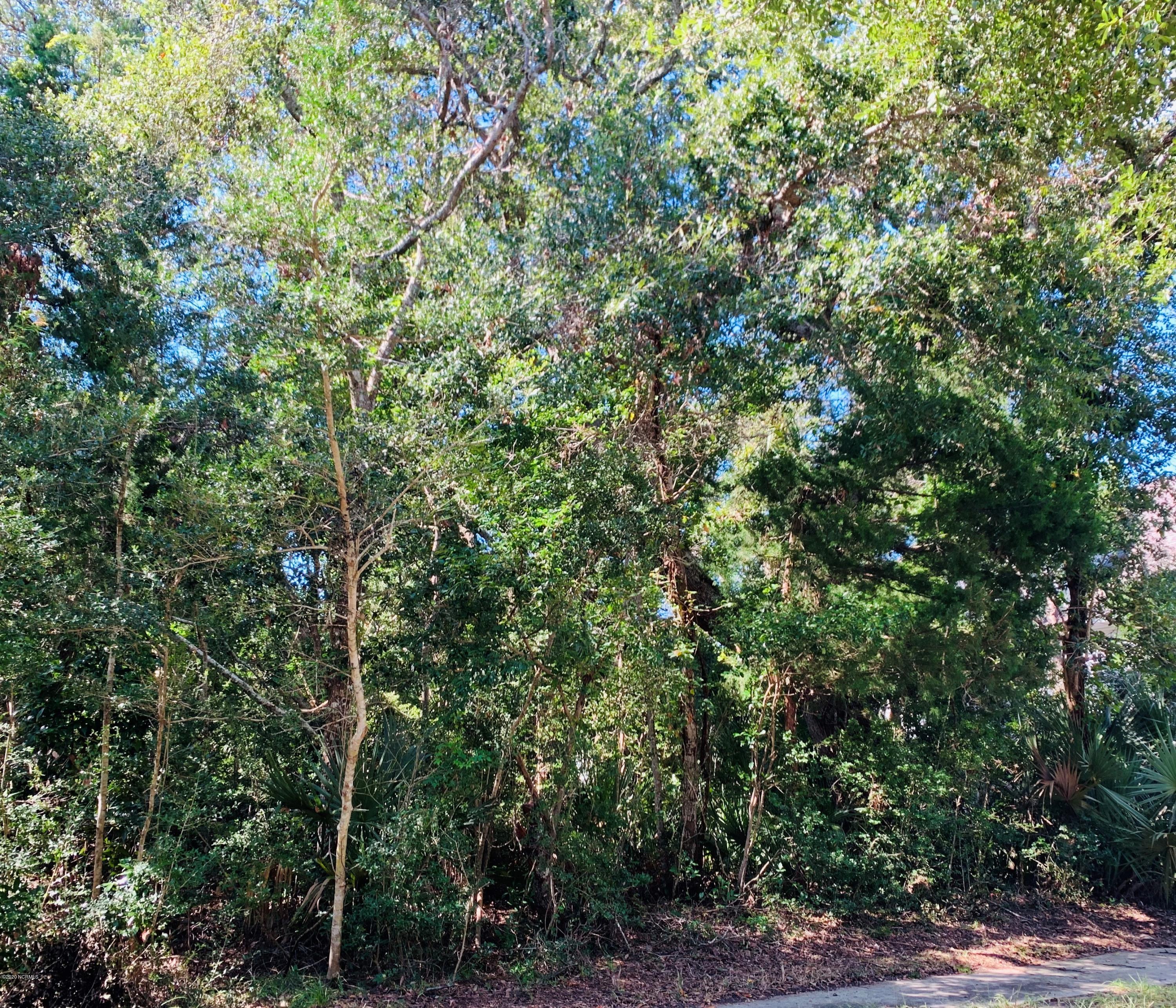 638 Kinnakeet Way Bald Head Island, NC 28461 - Photo 1 of 11 638Kinn(1)
