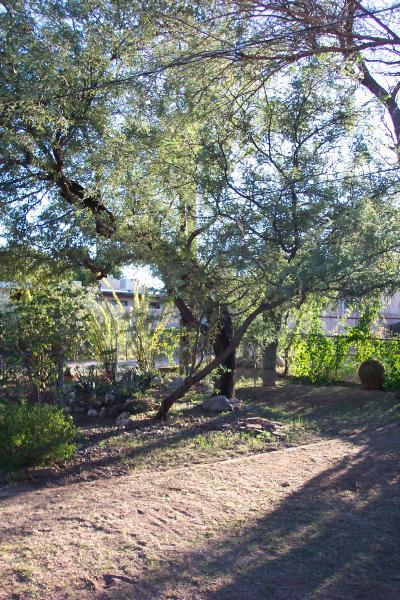 1010 East Grant Road Tucson, AZ 85719 - Photo 6 of 8