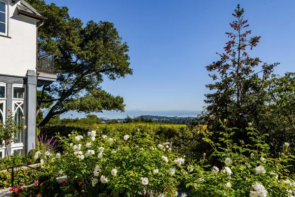 a view of a grassy field with trees