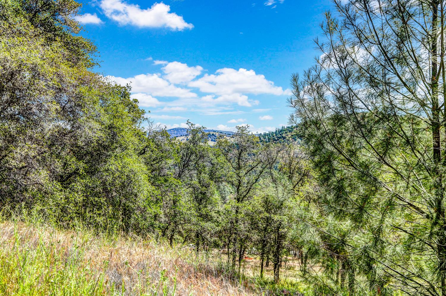 29 Township Road Browns Valley, CA 95918 - Photo 6 of 62 Gallery Image 6