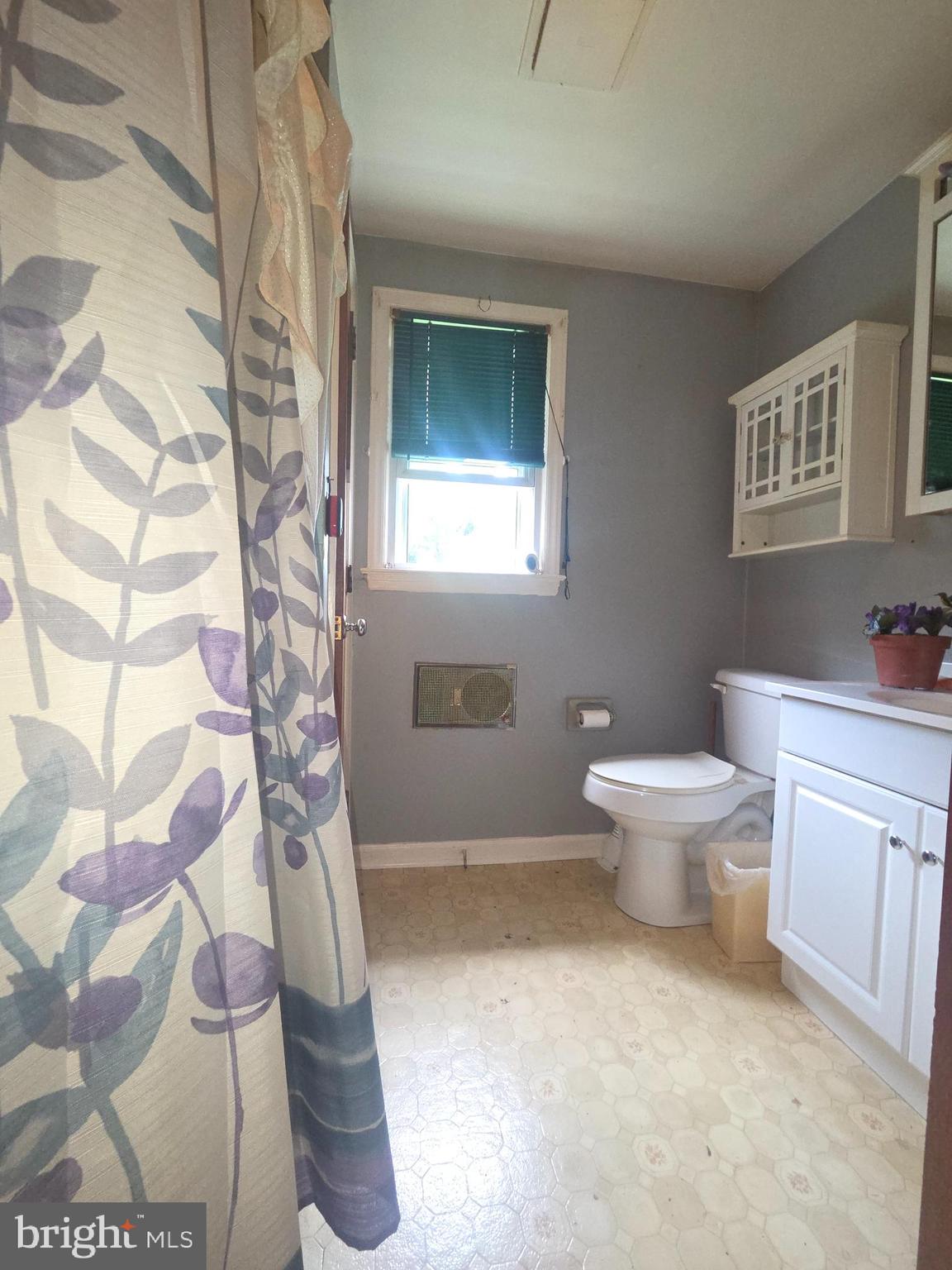 5880 Cardinal Street Mount Jackson, VA 22842 - Photo 14 of 44 a bathroom with a toilet and a shower curtain