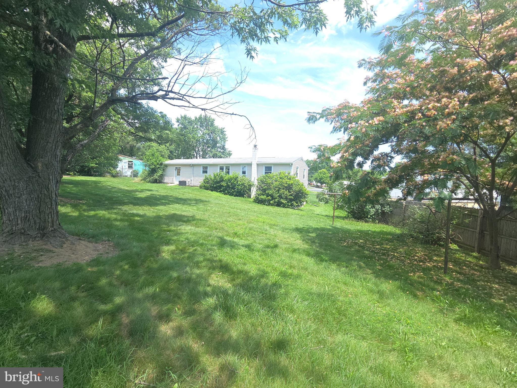 5880 Cardinal Street Mount Jackson, VA 22842 - Photo 6 of 44 a view of a big yard with plants and large trees
