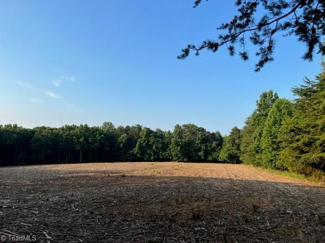 0 Reely Cook Road Dobson, NC 27017 - Photo 3 of 10 Gallery Image 3