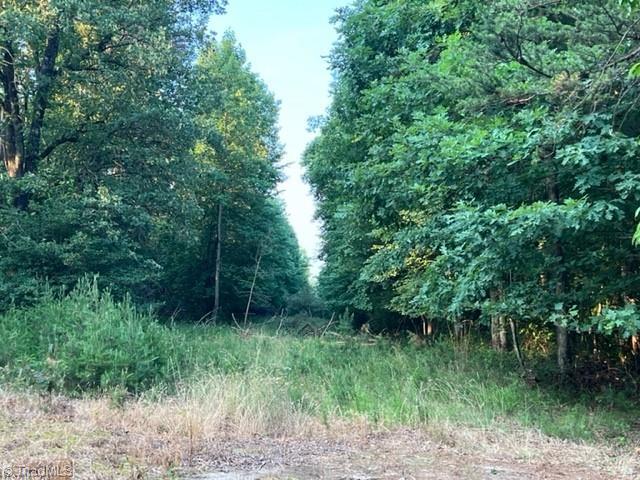 0 Reely Cook Road Dobson, NC 27017 - Photo 5 of 10 Gallery Image 5