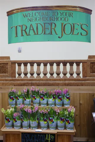 $4,795 | 115 East 34th Street, Unit 1003 | Murray Hill