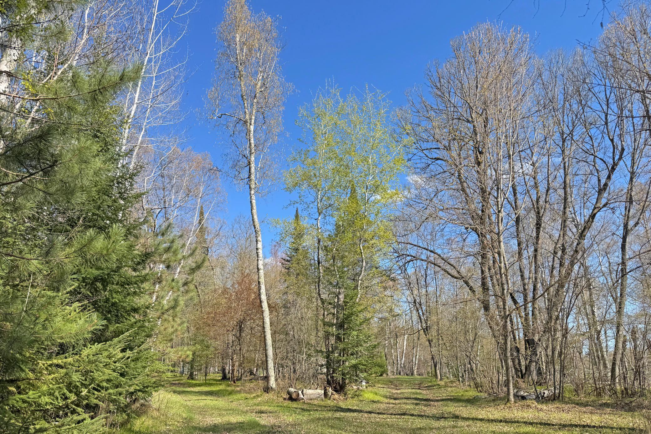 26810 North Hart Lake Road Pengilly, MN 55775 - Photo 37 of 67