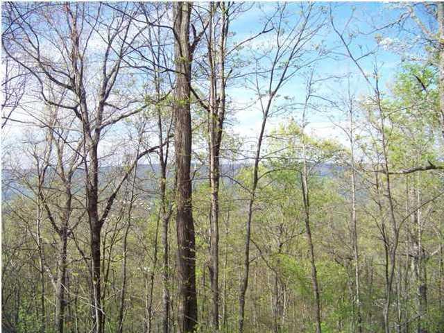 9 Jackson Point Road, Unit 9 Sewanee, TN 37375 - Photo 11 of 11 20150129204104927339000000-o