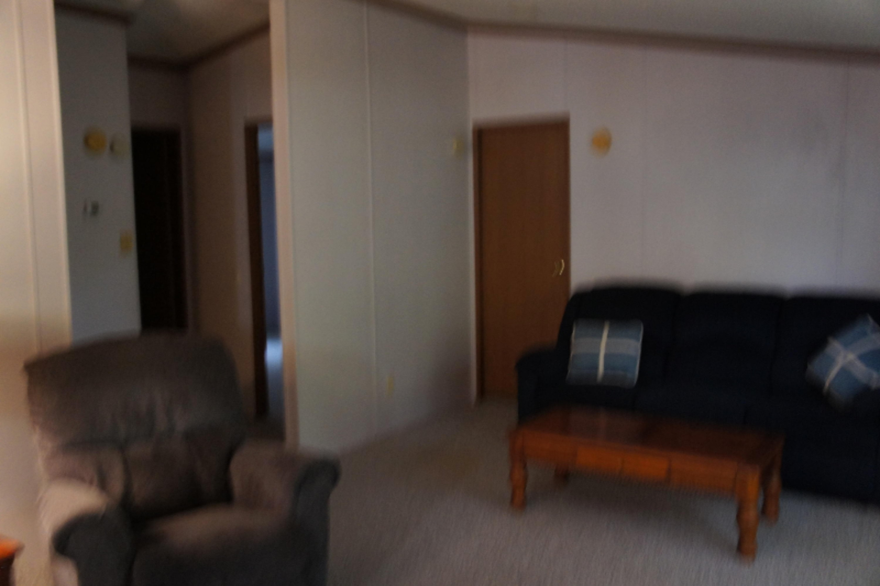 216 Randy Drive Coldwater, MI 49036 - Photo 11 of 29 2020-10-12 16.01.07