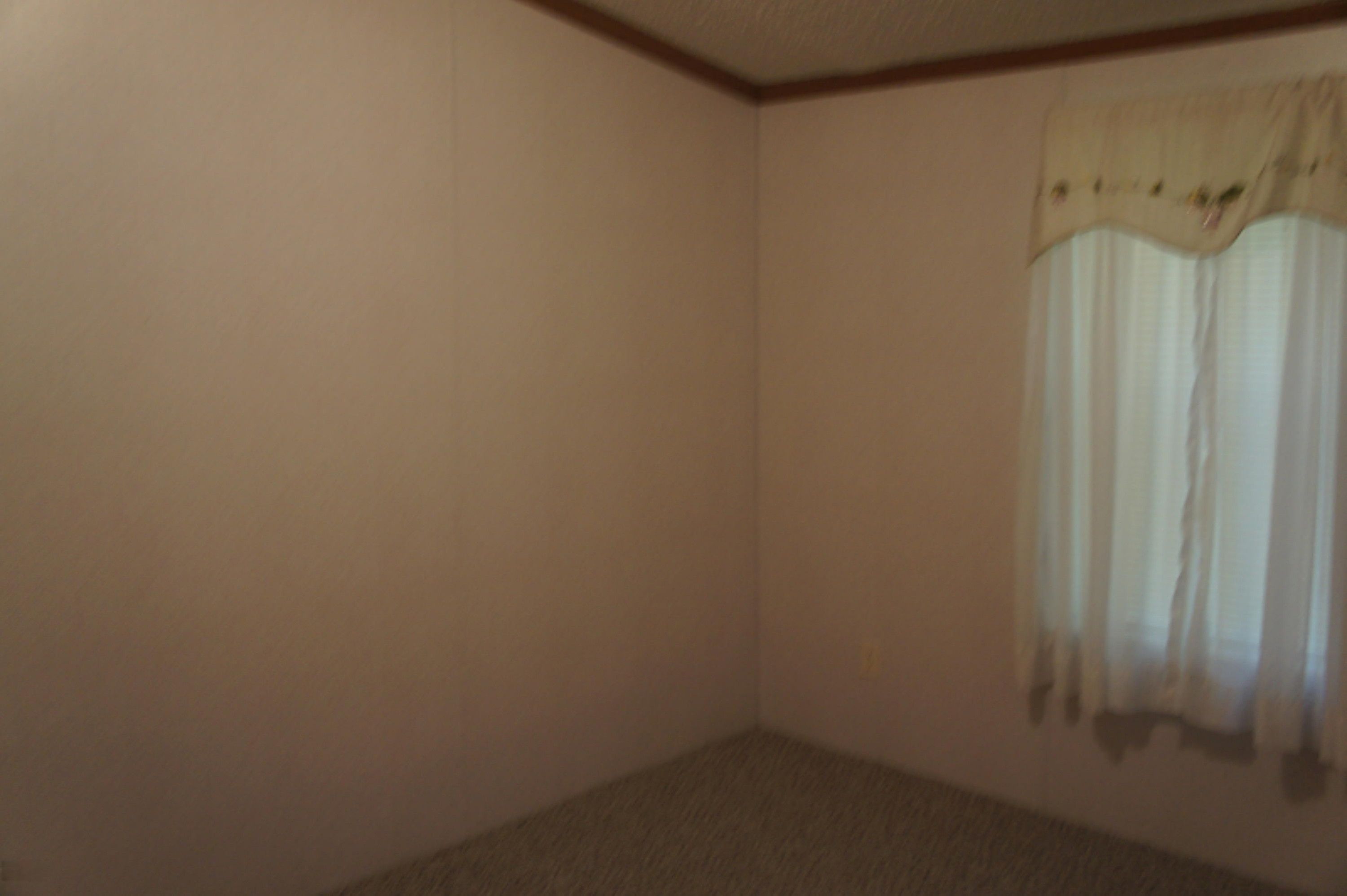 216 Randy Drive Coldwater, MI 49036 - Photo 13 of 29 2020-10-12 16.01.32