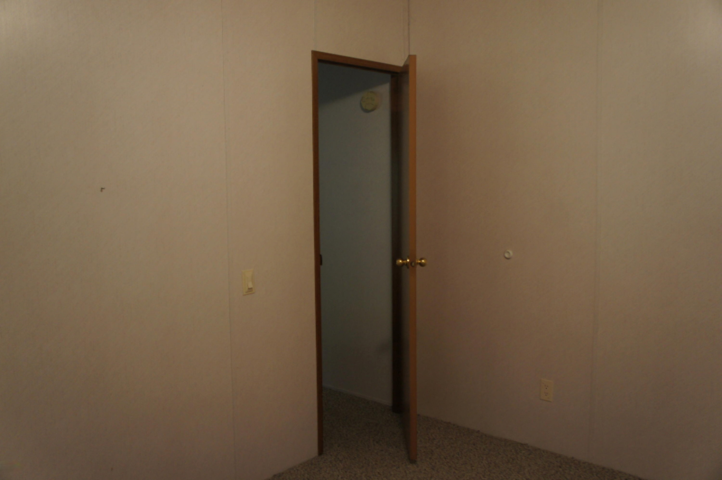 216 Randy Drive Coldwater, MI 49036 - Photo 14 of 29 2020-10-12 16.01.41