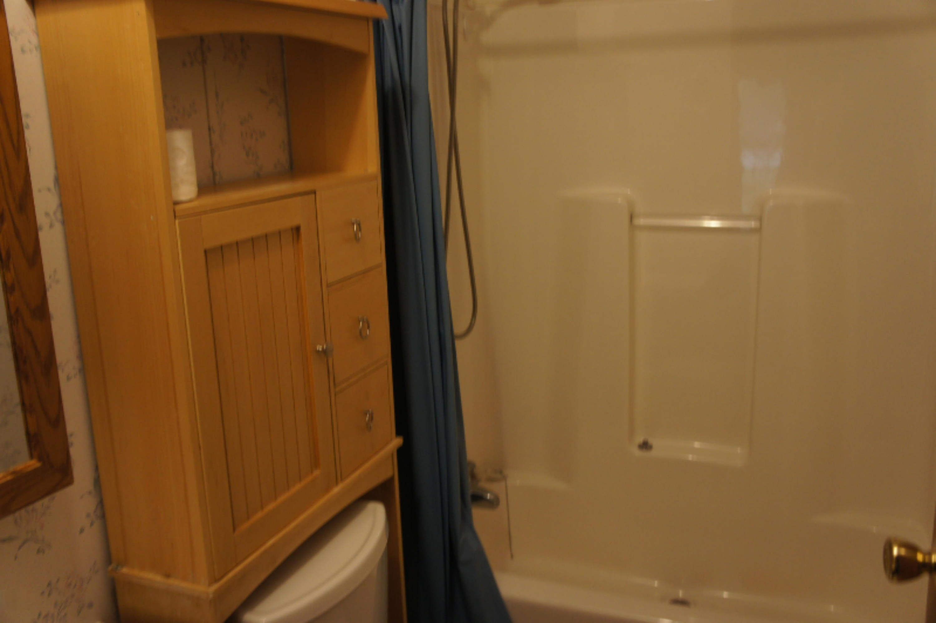 216 Randy Drive Coldwater, MI 49036 - Photo 17 of 29 2020-10-12 16.02.38