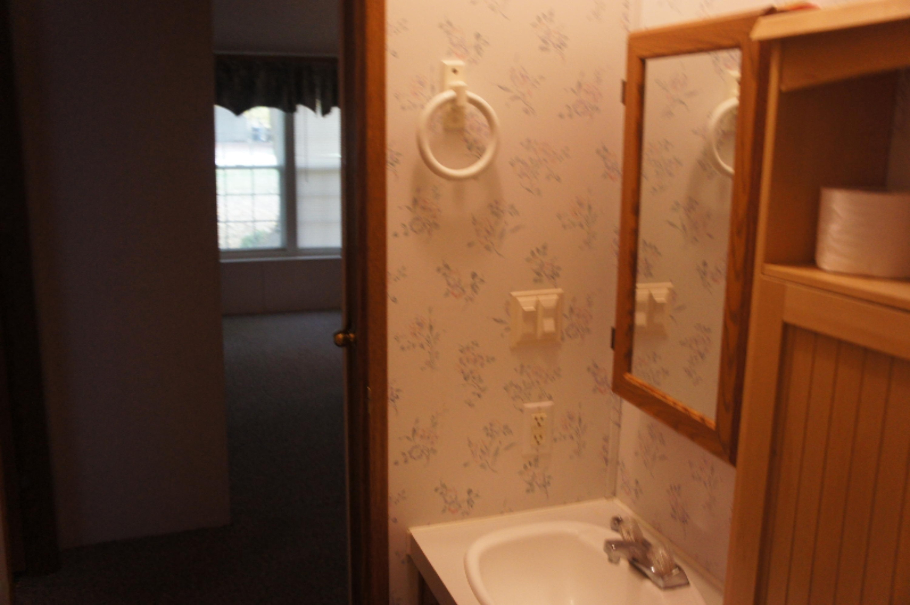 216 Randy Drive Coldwater, MI 49036 - Photo 18 of 29 2020-10-12 16.02.57