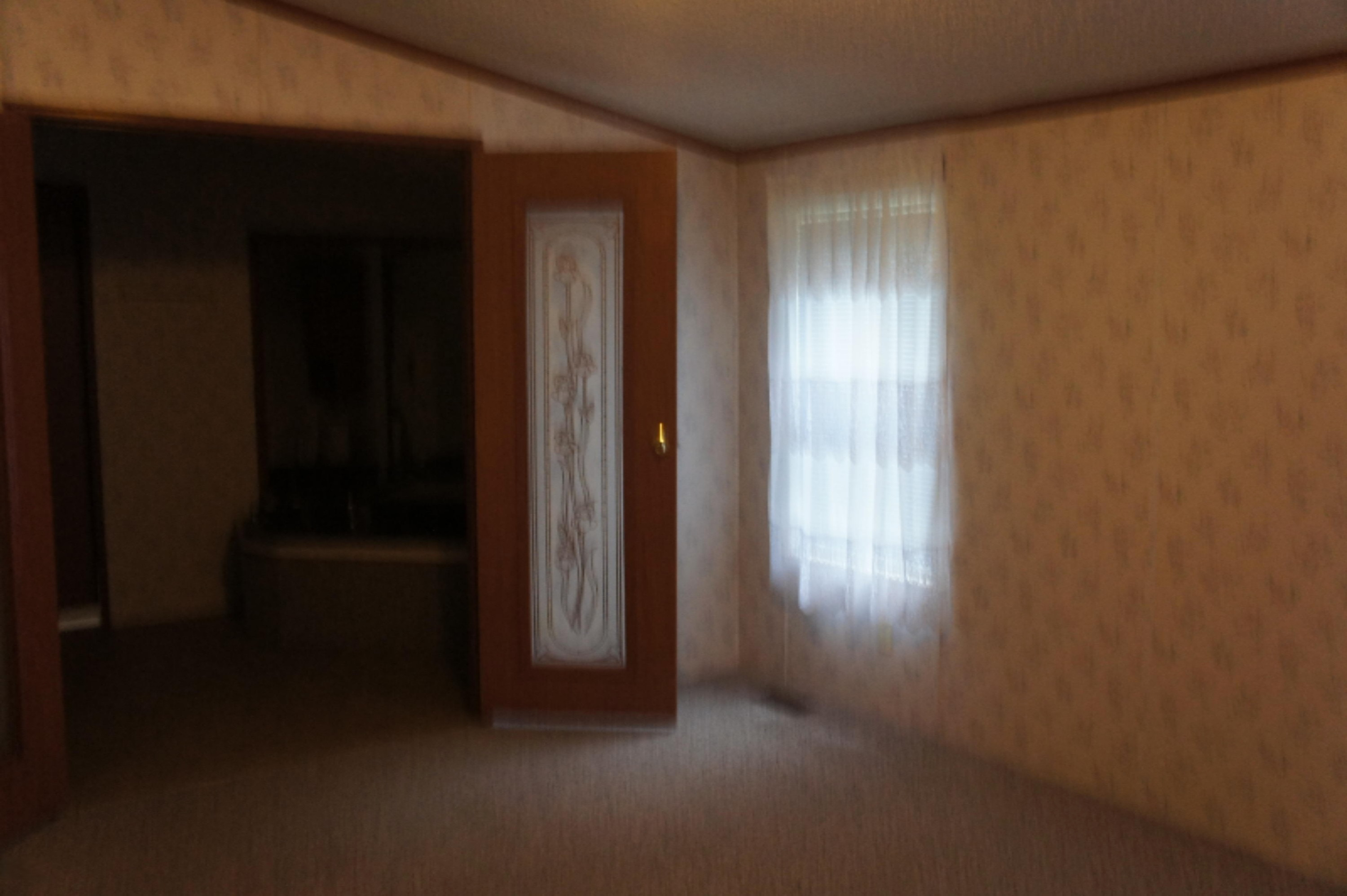 216 Randy Drive Coldwater, MI 49036 - Photo 19 of 29 2020-10-12 16.03.13