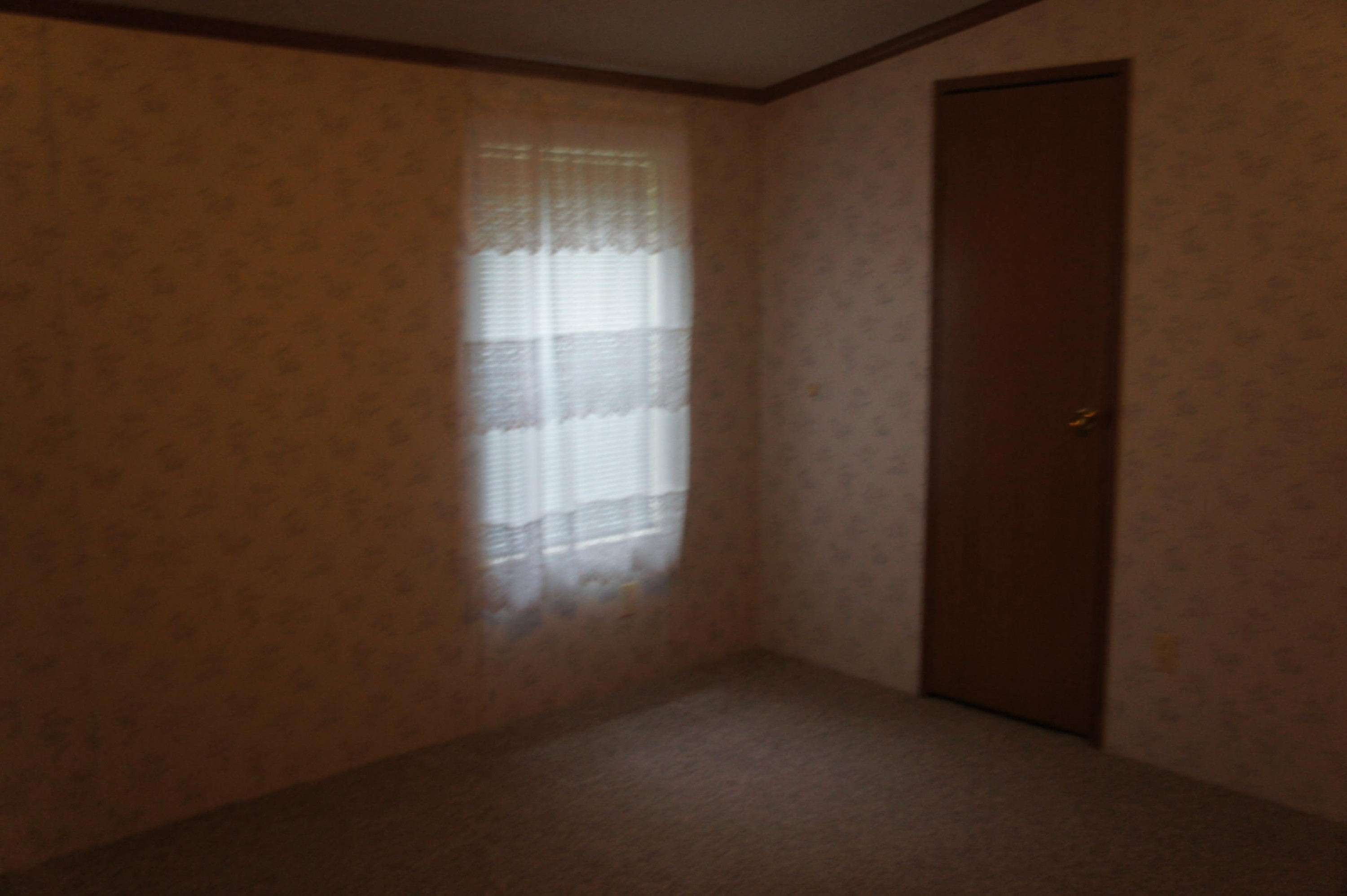 216 Randy Drive Coldwater, MI 49036 - Photo 20 of 29 2020-10-12 16.03.21