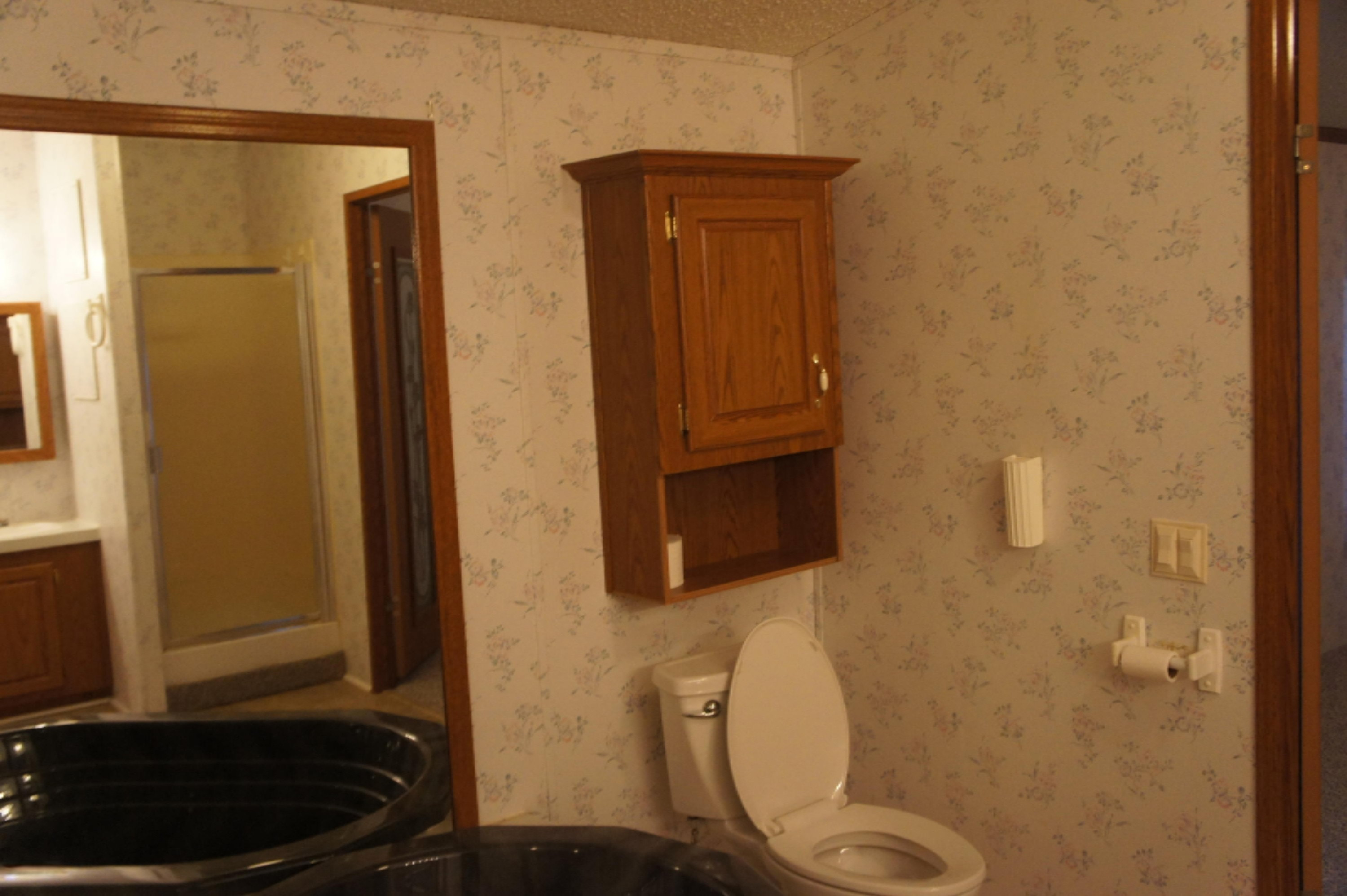 216 Randy Drive Coldwater, MI 49036 - Photo 22 of 29 2020-10-12 16.03.54