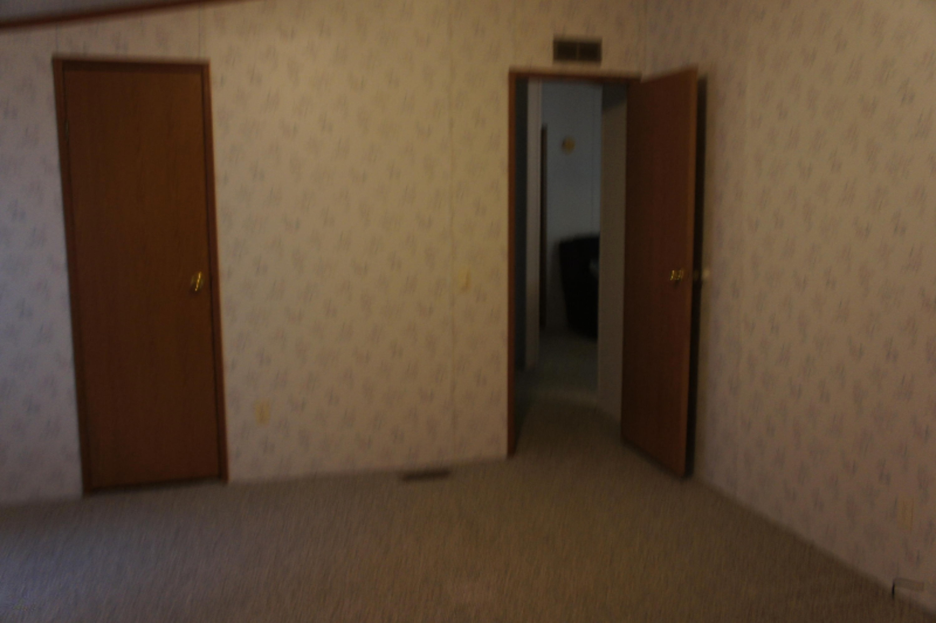 216 Randy Drive Coldwater, MI 49036 - Photo 23 of 29 2020-10-12 16.04.07