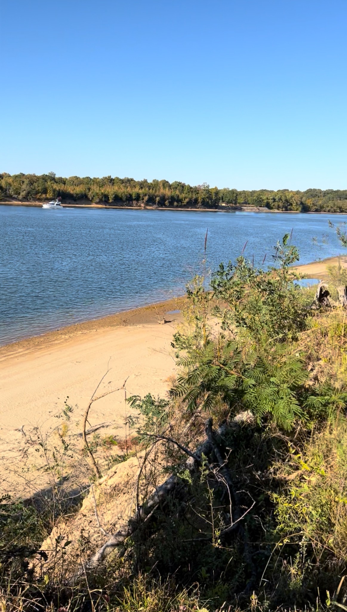 5335 Cravens Road Savannah, TN 38372 - Photo 1 of 9