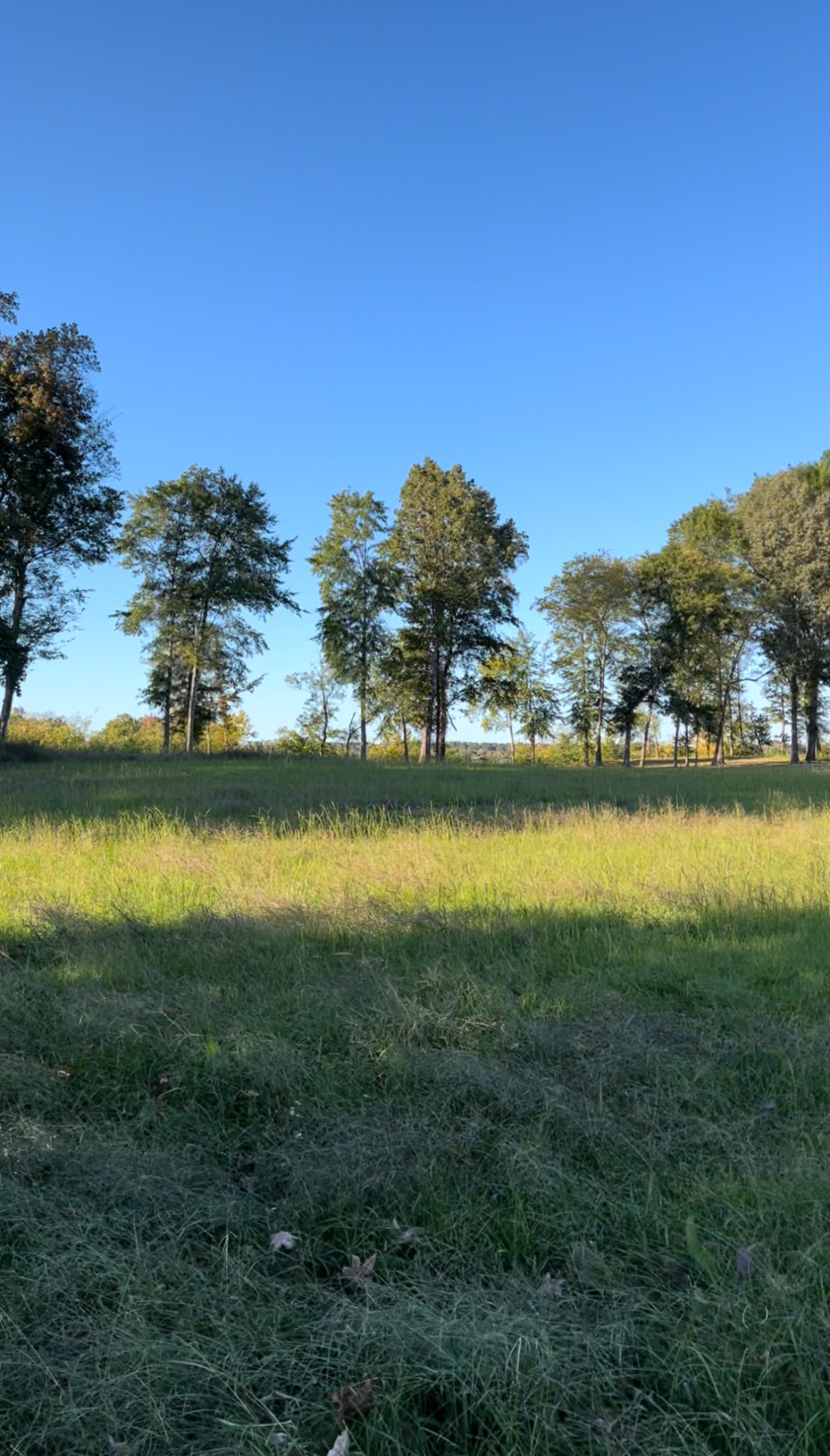 5335 Cravens Road Savannah, TN 38372 - Photo 2 of 9 a view of a ocean with beach