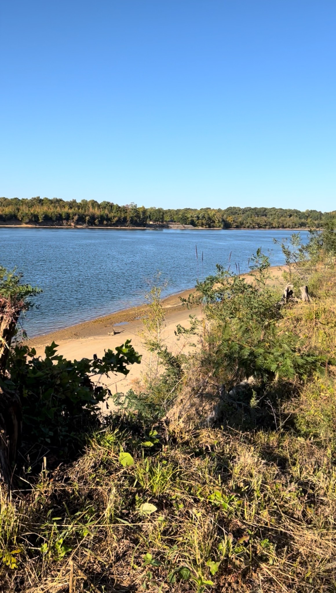 5335 Cravens Road Savannah, TN 38372 - Photo 4 of 9 a view of a lake with houses in the back