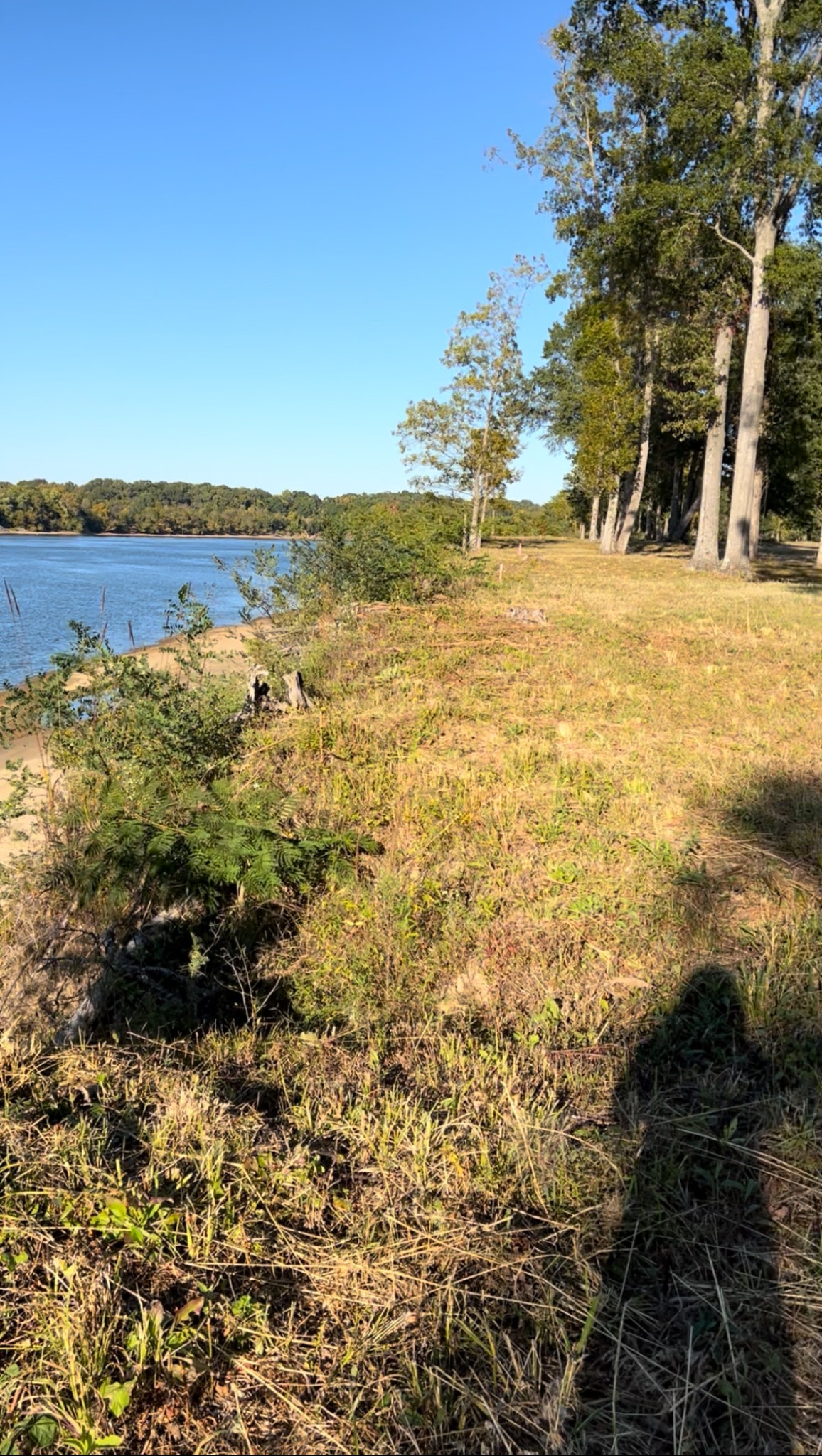 5335 Cravens Road Savannah, TN 38372 - Photo 5 of 9 a view of an ocean view