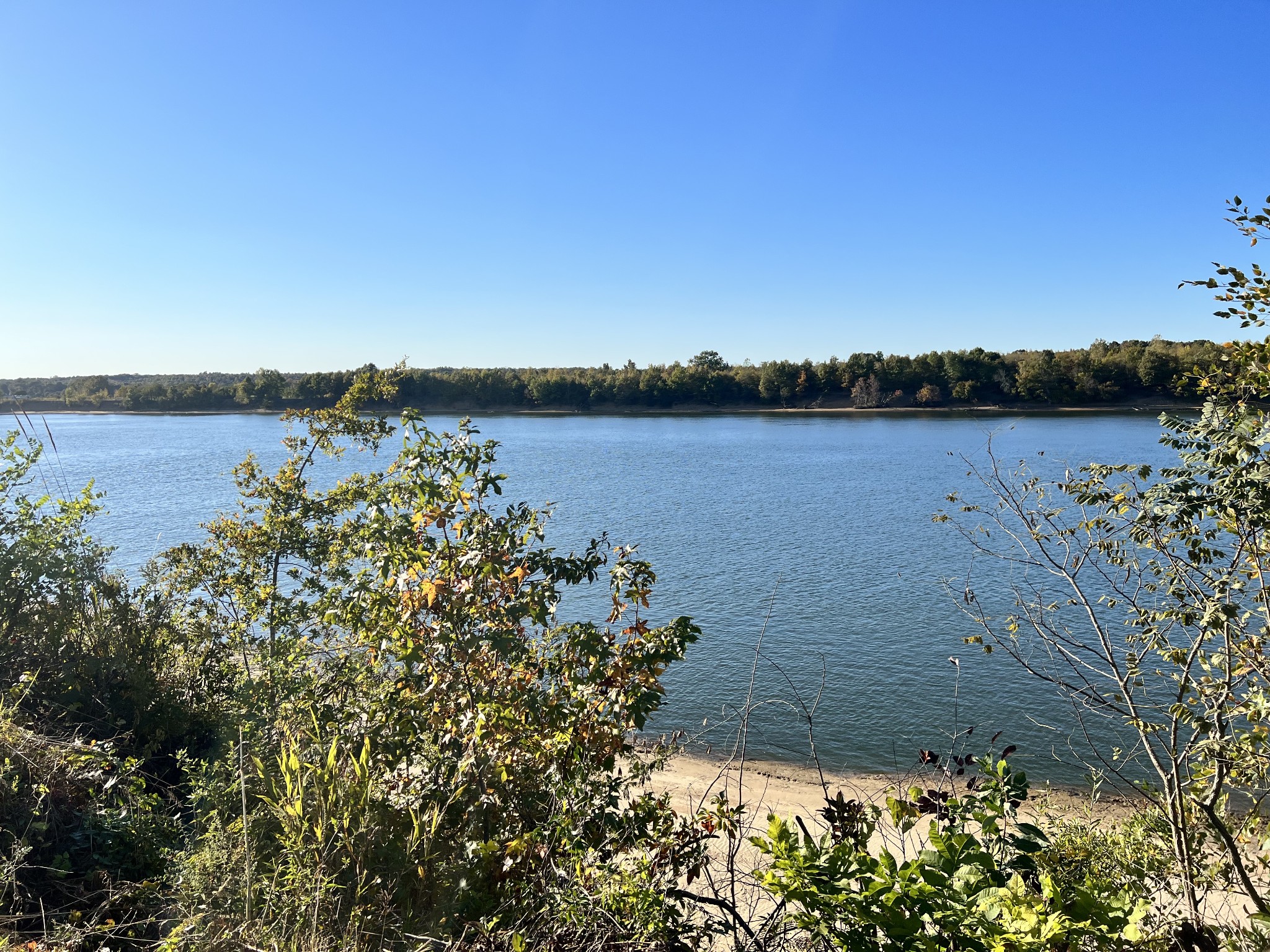 5335 Cravens Road Savannah, TN 38372 - Photo 7 of 9 a view of a lake with a city