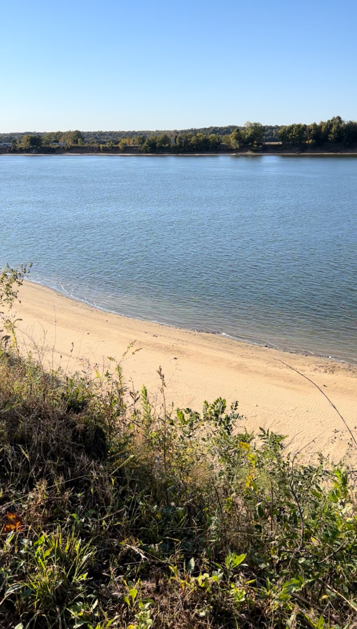 5335 Cravens Road Savannah, TN 38372 - Photo 8 of 9 a view of lake and mountain