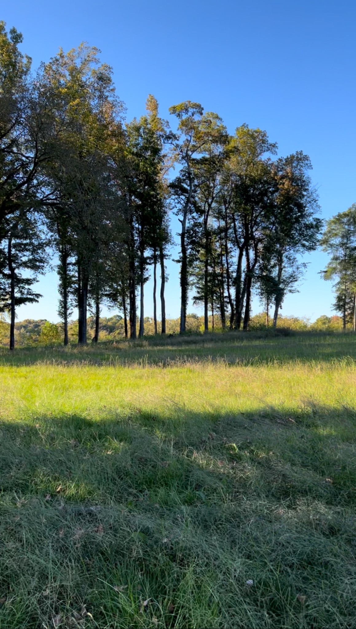 5335 Cravens Road Savannah, TN 38372 - Photo 9 of 9 a view of swimming pool with outdoor seating and lake view
