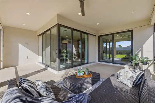 a view of a yard with plants