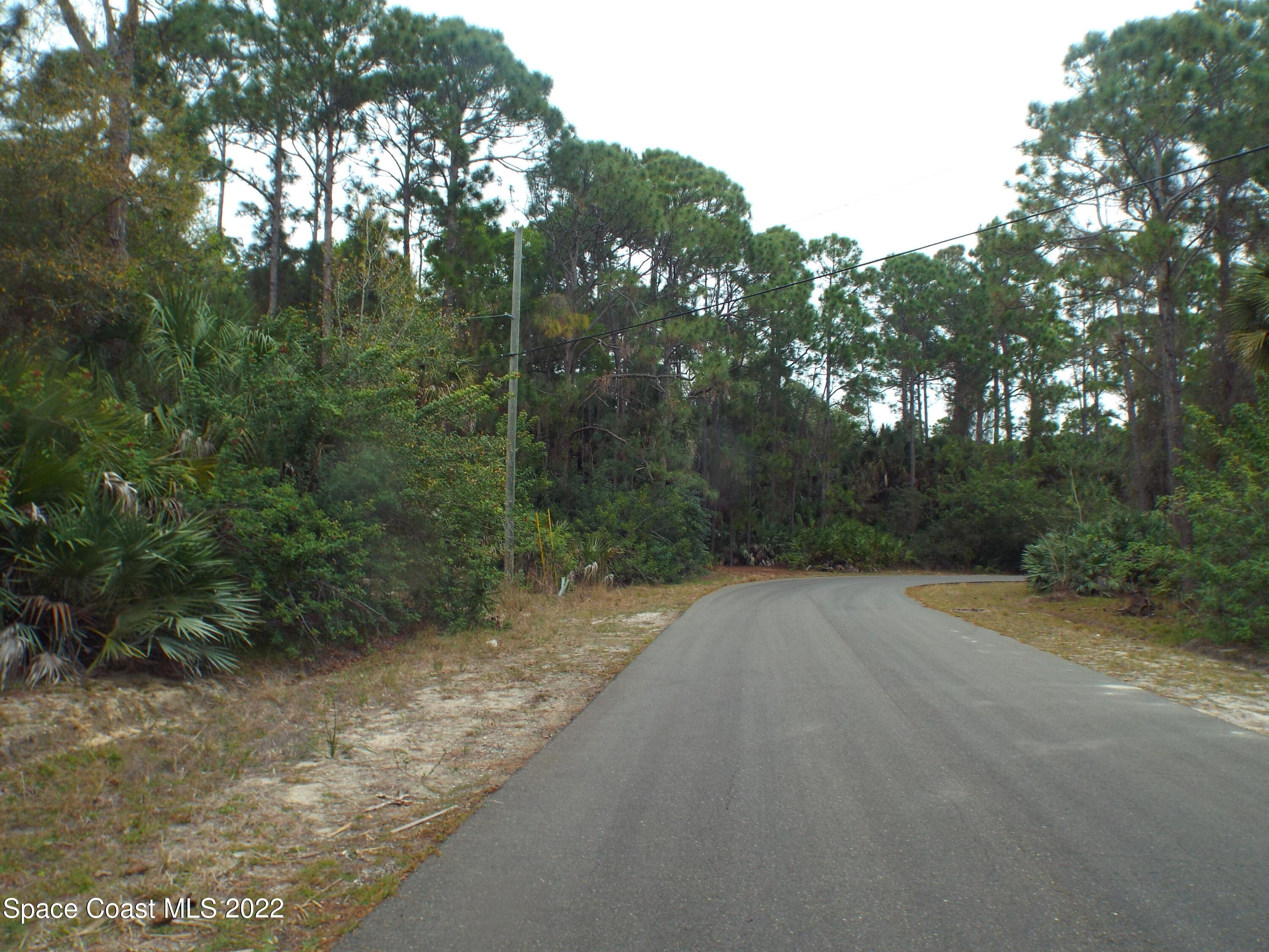 491 Hamer Road Southwest Palm Bay, FL 32908 - Photo 3 of 3 491 Hamer Rd Sw, PB, Fl 32908 003